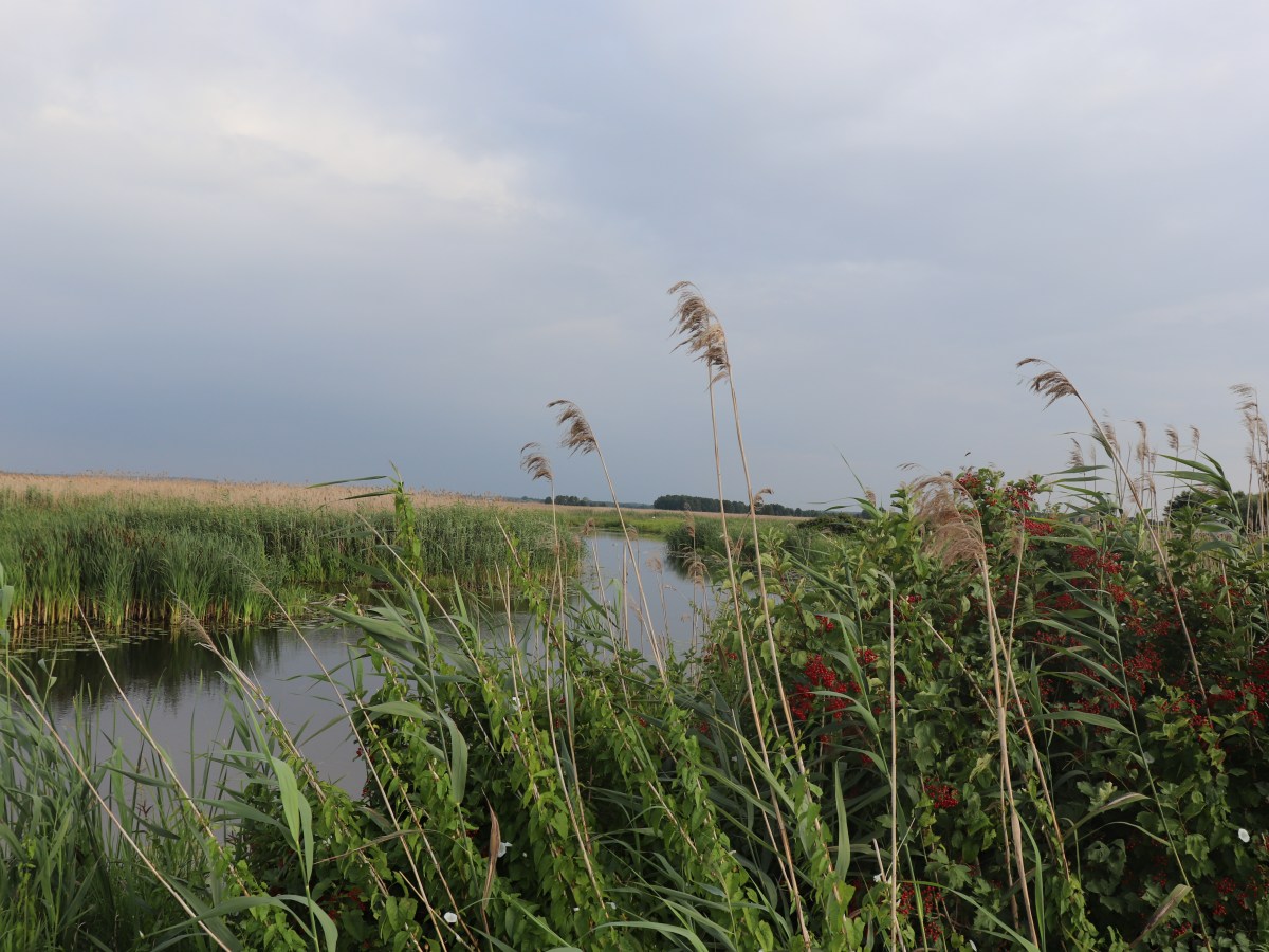 Auf Wiedersehen Baltikum