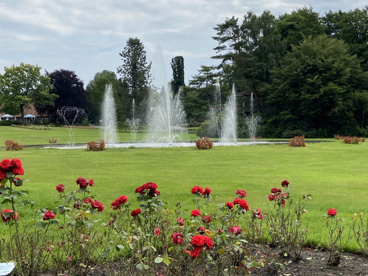 Geirrt, gepaddelt, gefiedert