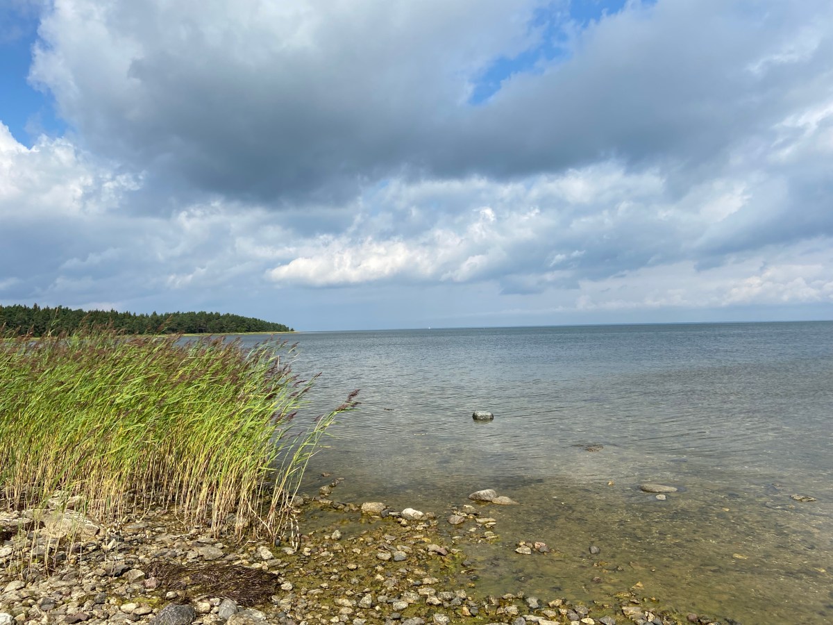 Auf zu neuen&nbsp;Ufern