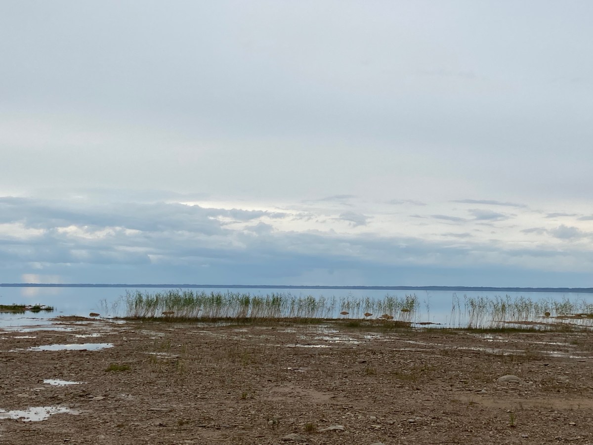 Wir lassen uns&nbsp;vom….