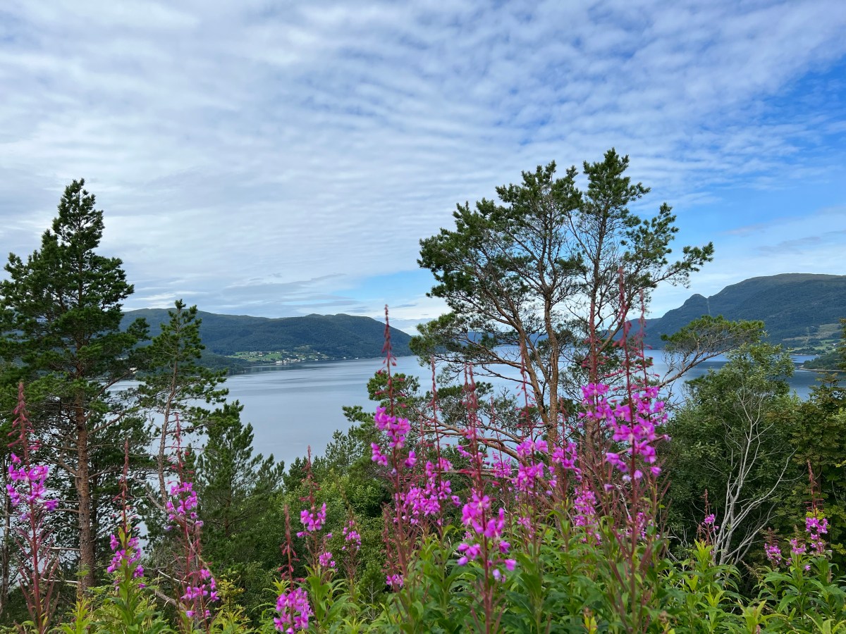 Im Gebirge und an den&nbsp;Klippen
