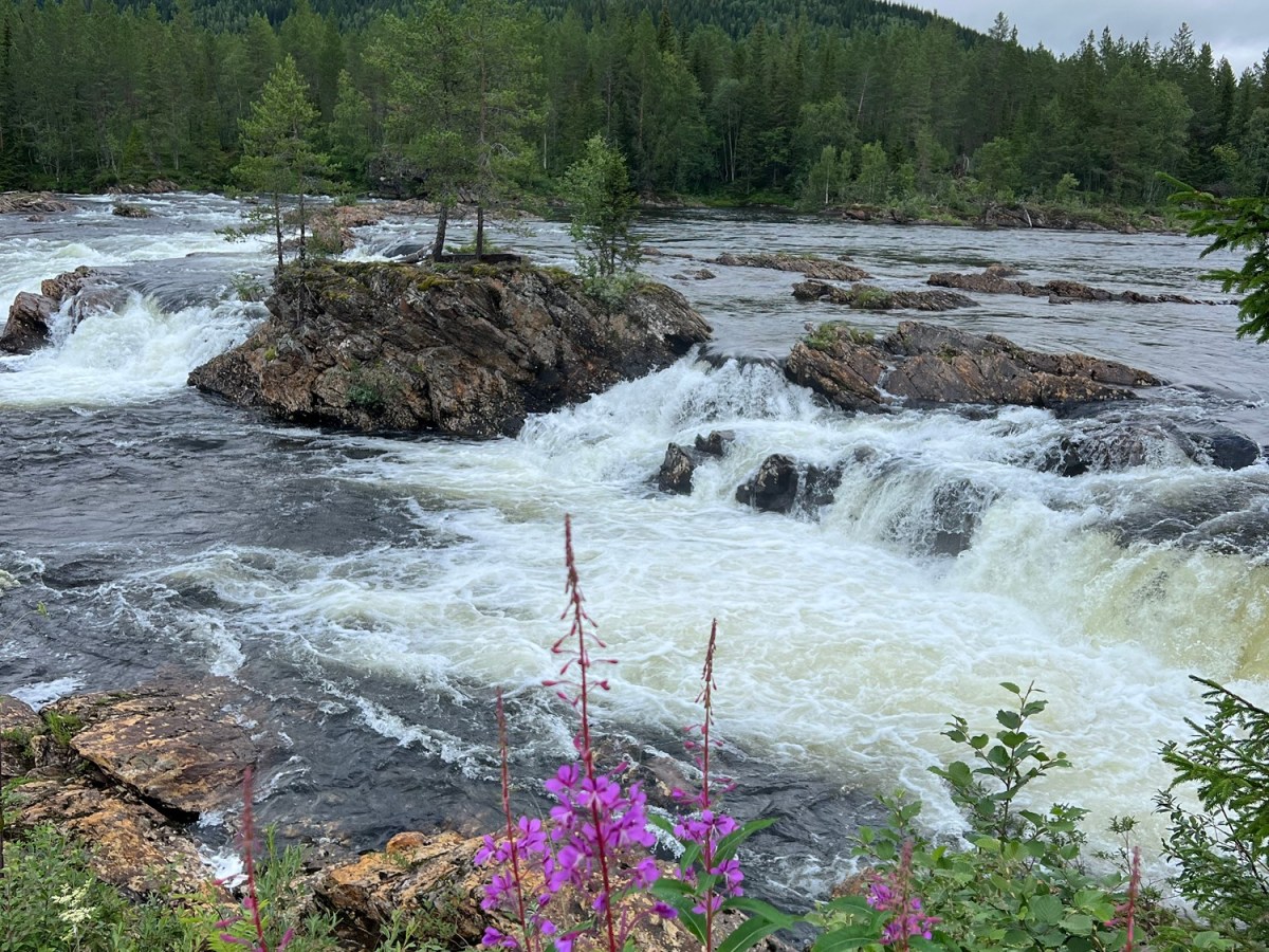 Die Karawane zieht&nbsp;weiter…