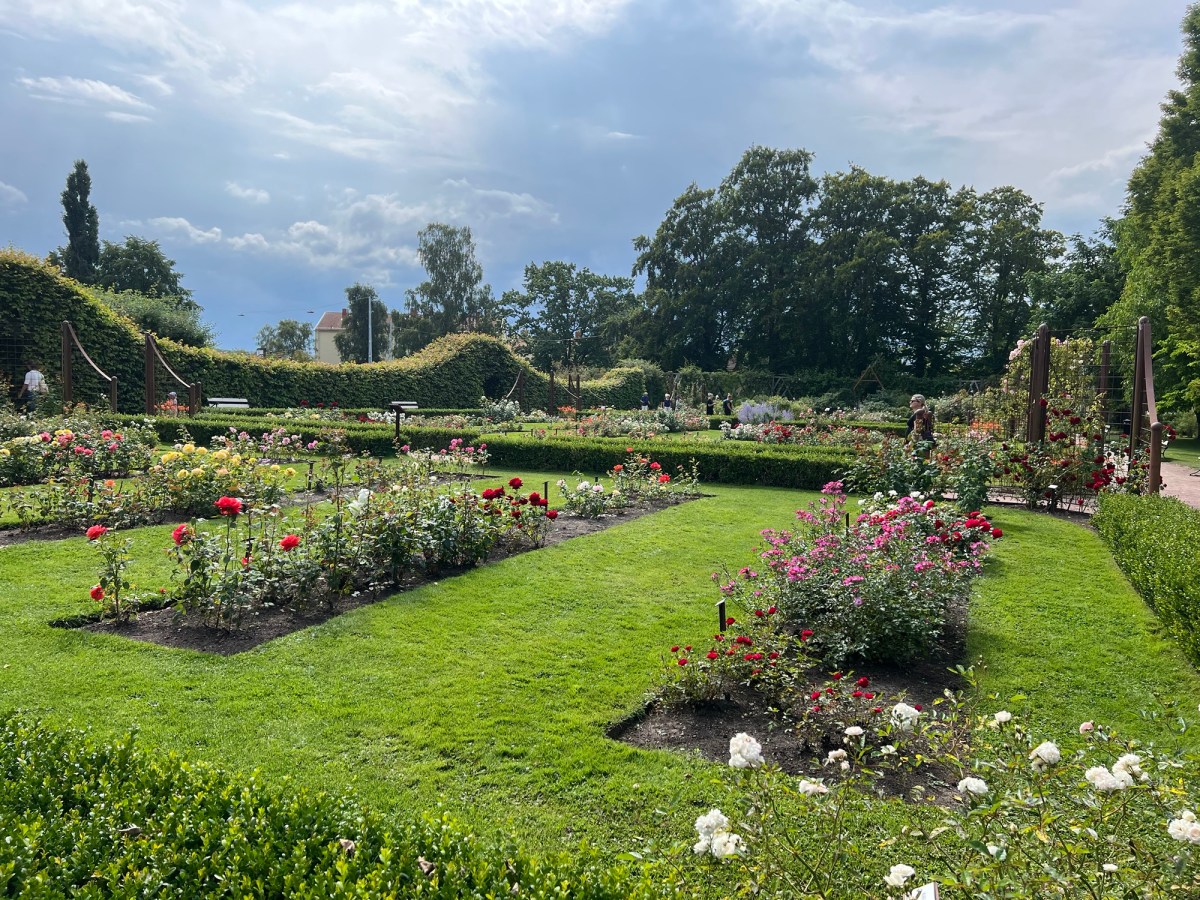 Egal, wohin wir&nbsp;wollen