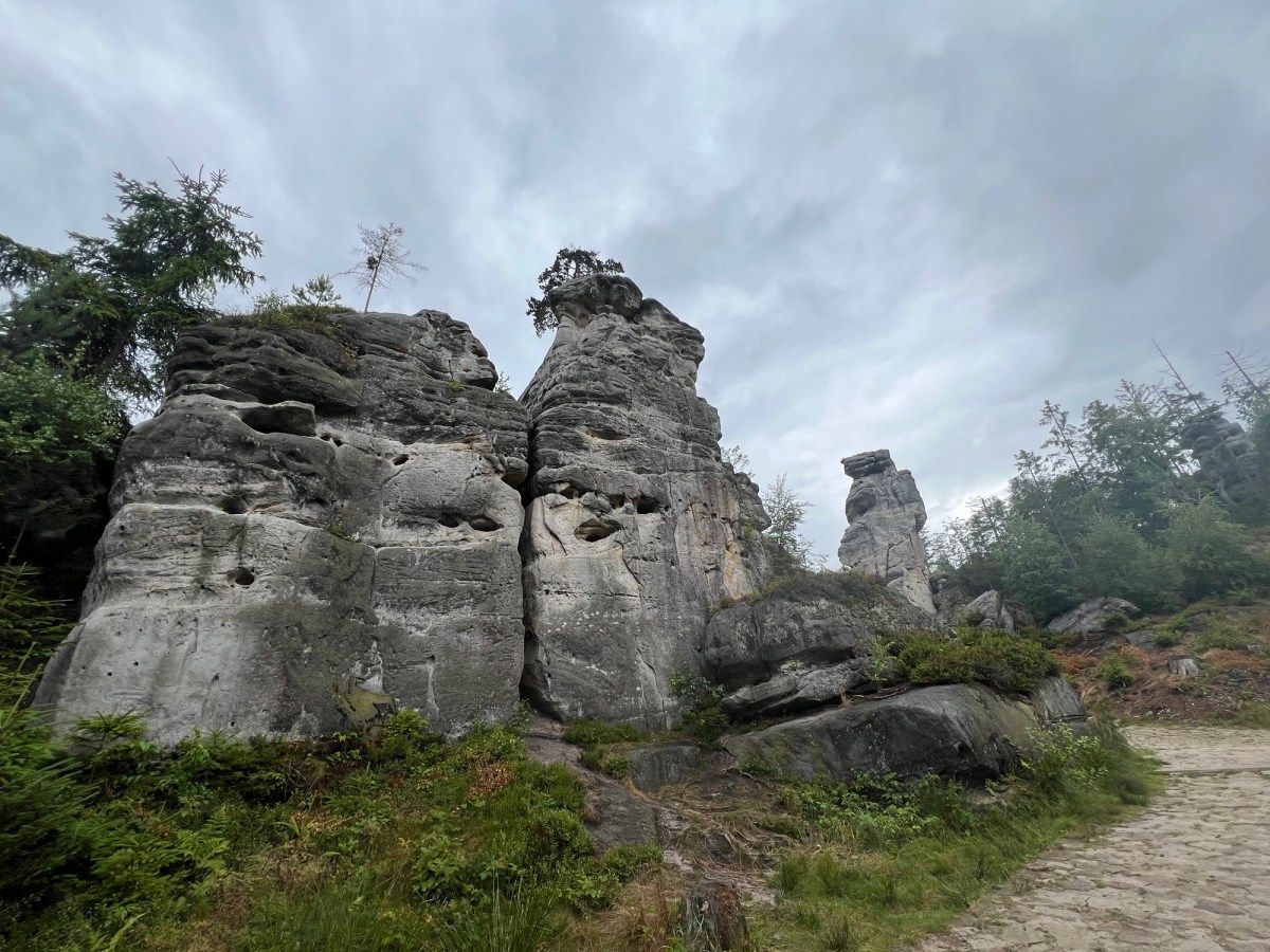 Kondom, gelber Sack,&nbsp;Tampon