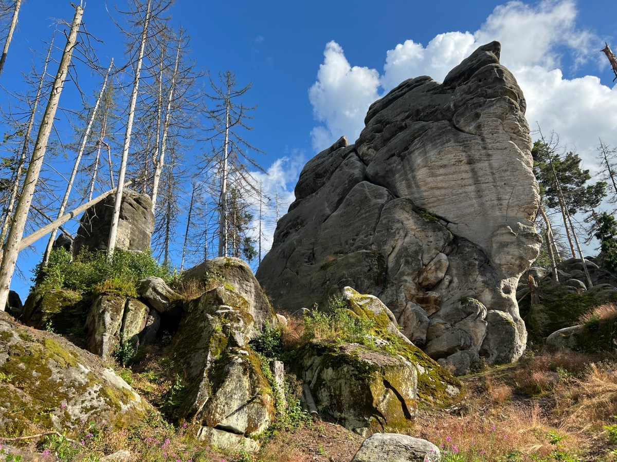 Wir finden jede&nbsp;Abkürzung
