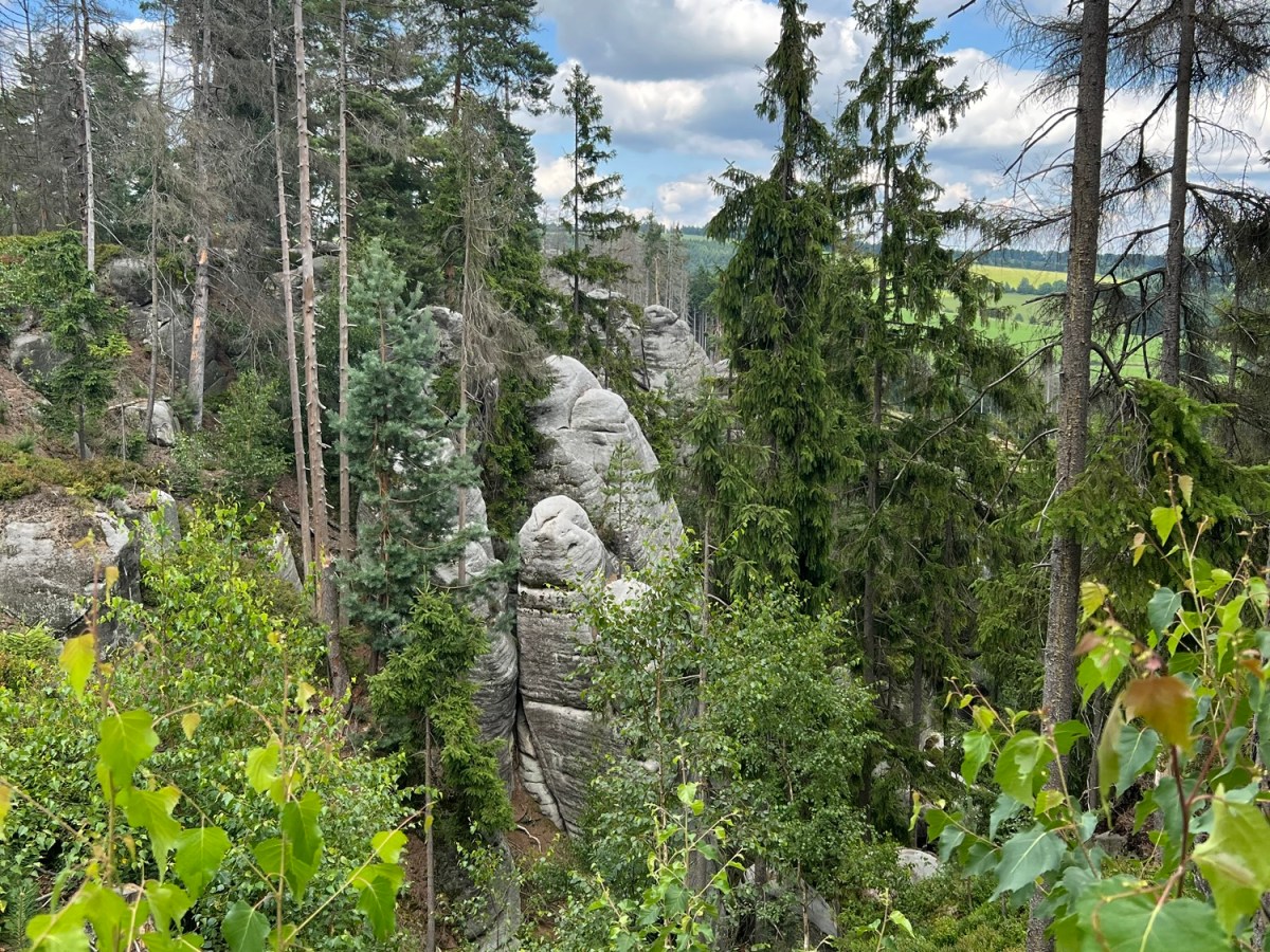 Bergauf über Steine, Wurzeln,&nbsp;Felsen